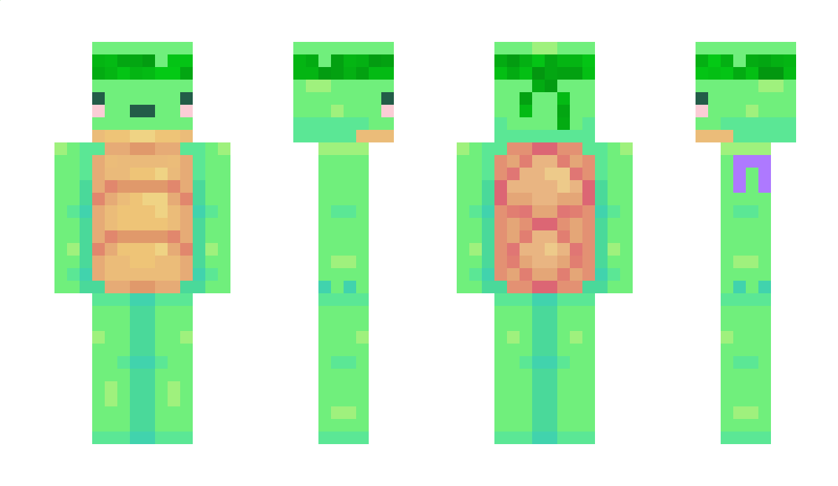 tutrlefarmer Minecraft Skin