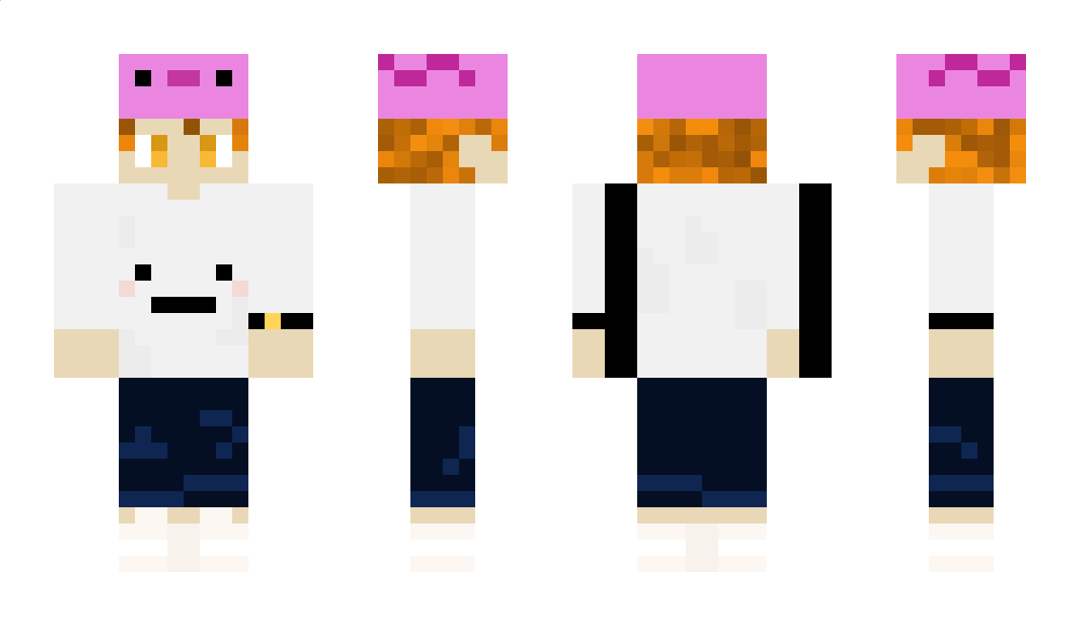 Mecleee Minecraft Skin