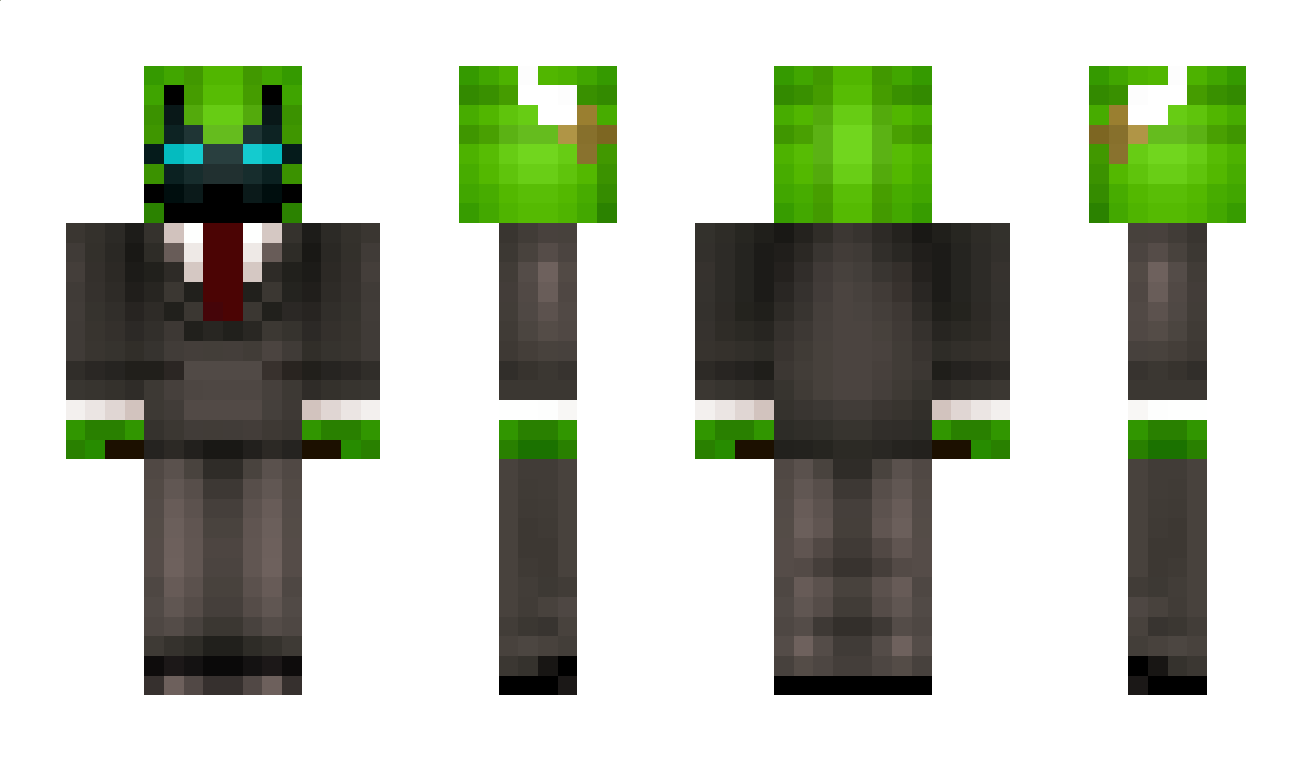 Loose0001 Minecraft Skin