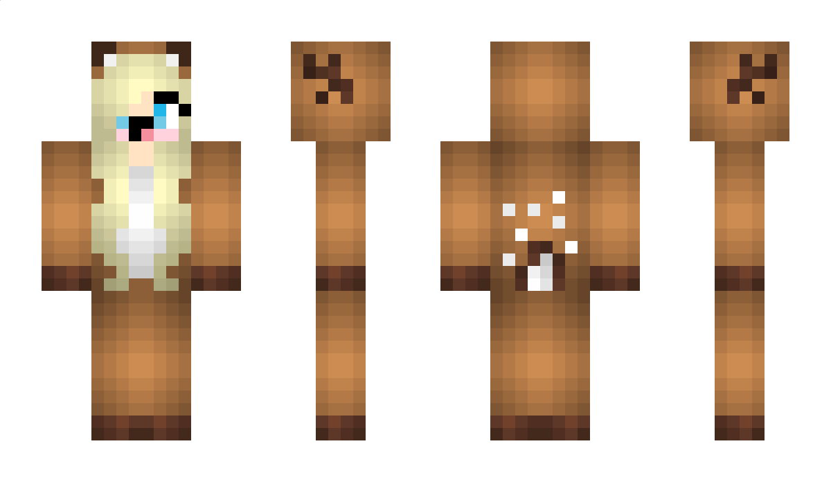 DreamBoy15780 Minecraft Skin