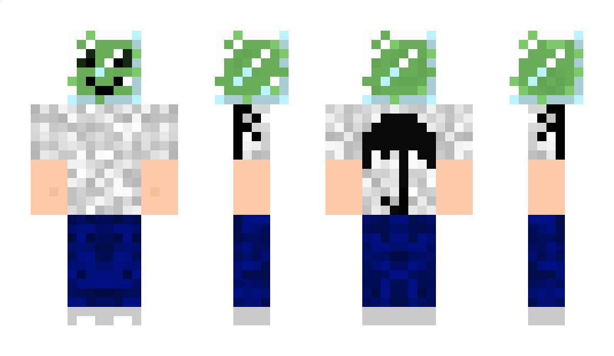 zelez123 Minecraft Skin