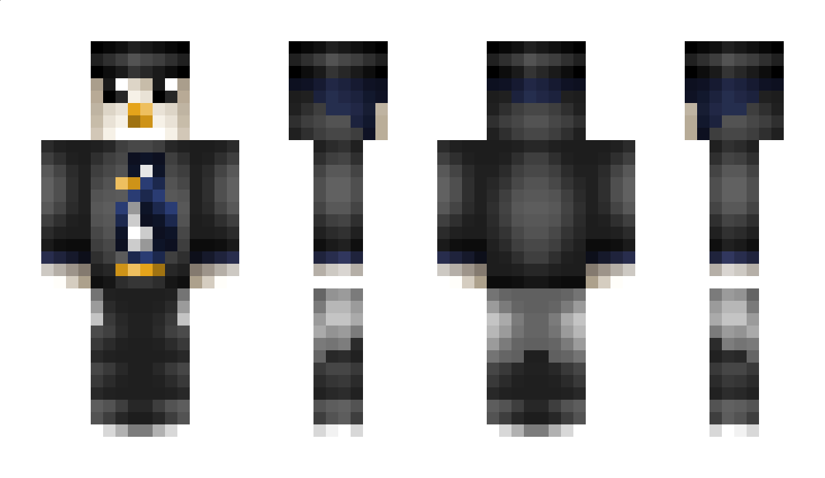 Ludi_broken Minecraft Skin