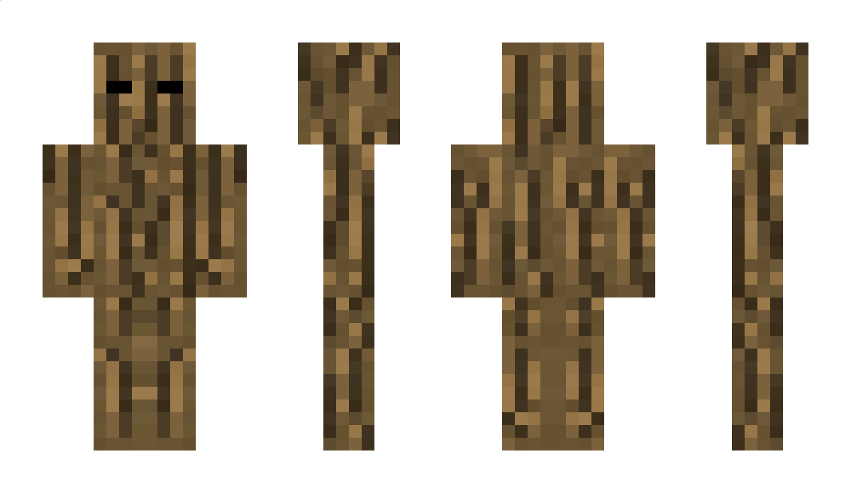 DangeonMaster Minecraft Skin