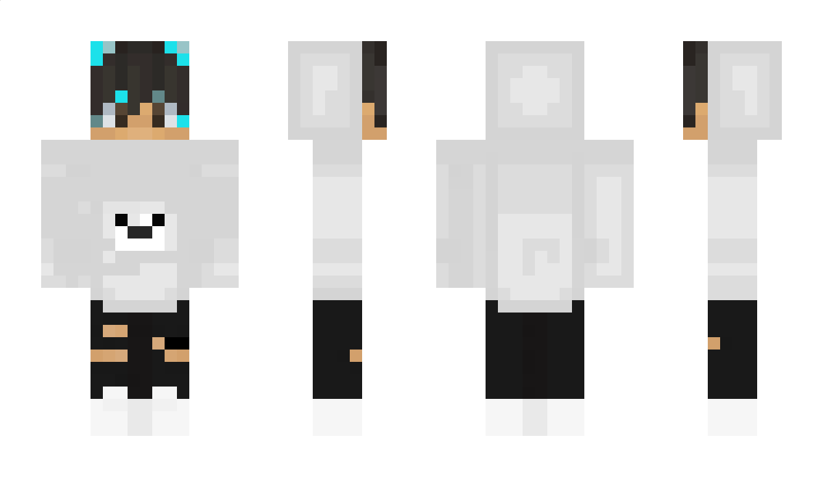 LegoPuck Minecraft Skin