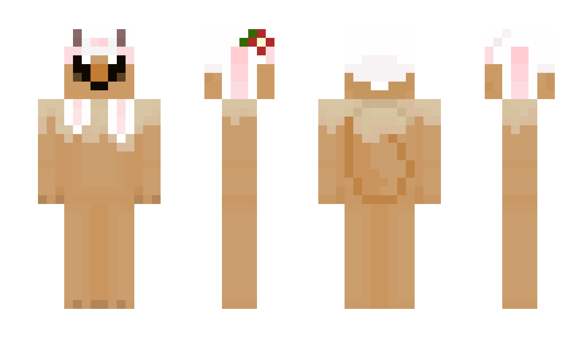 bipy Minecraft Skin