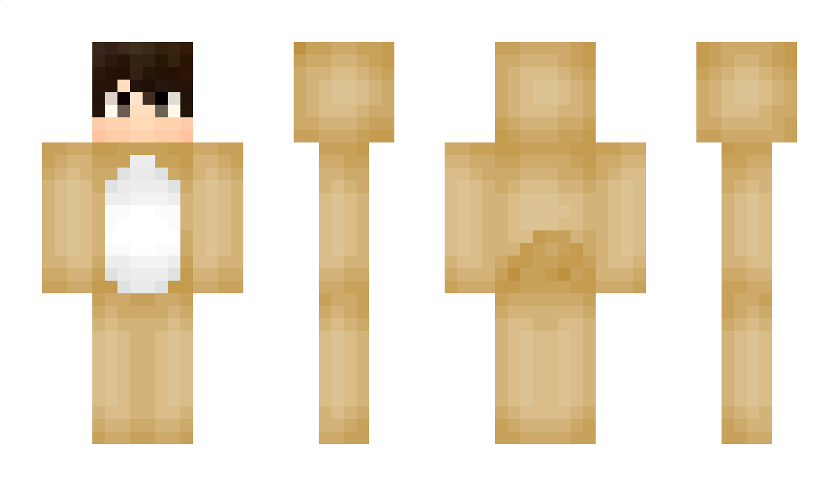 Dish Minecraft Skin