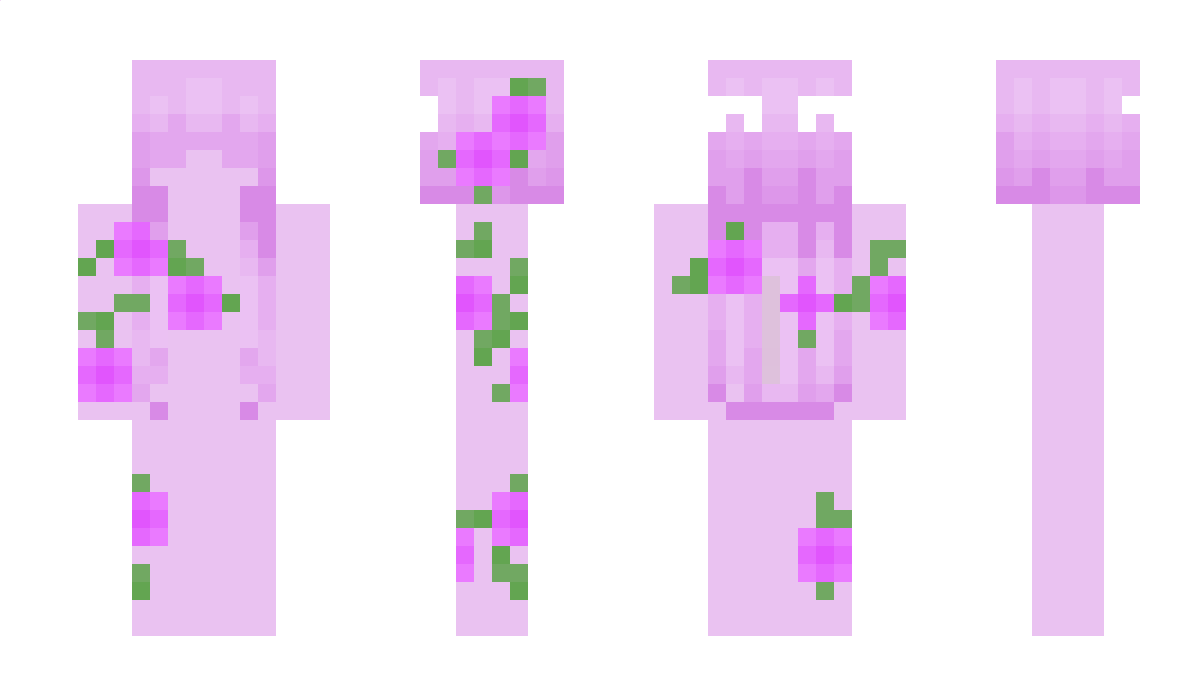 JxstAChillGirl Minecraft Skin