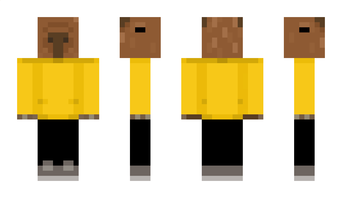 ProbablyRxbin Minecraft Skin