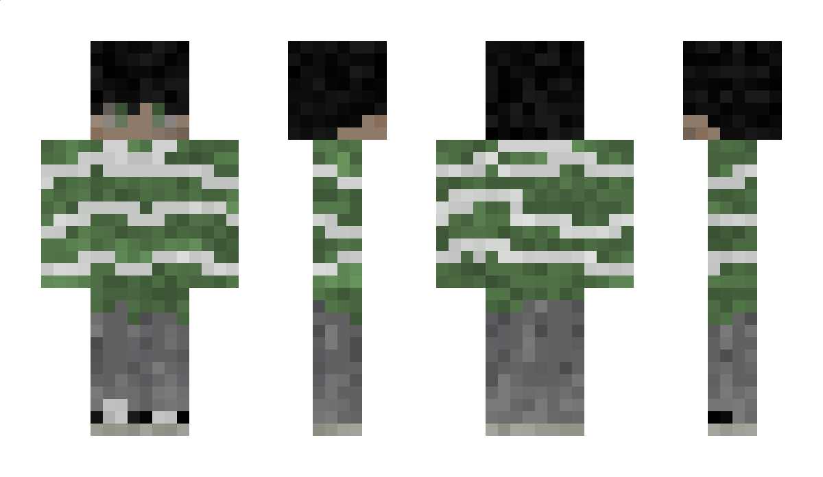 Plkskymnga Minecraft Skin