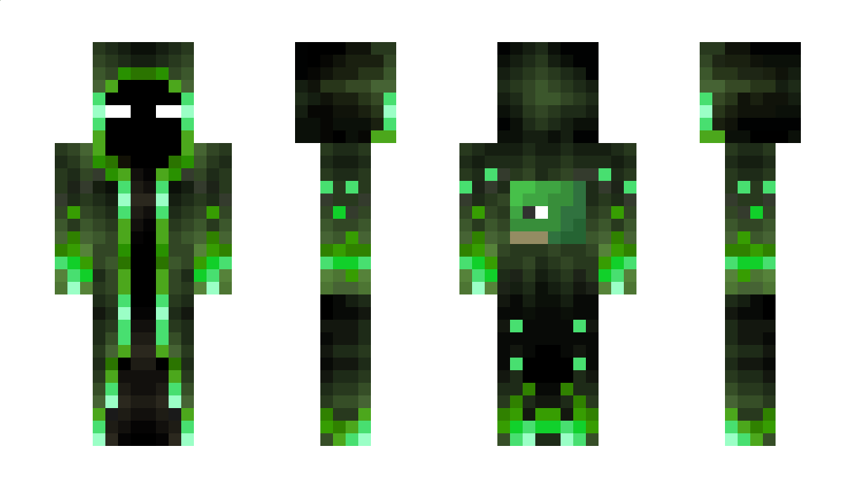 diTortOise Minecraft Skin