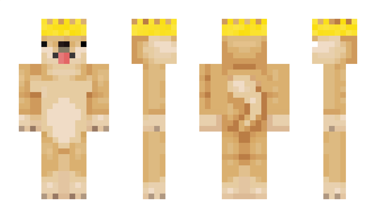 DOGSAREDOGS Minecraft Skin