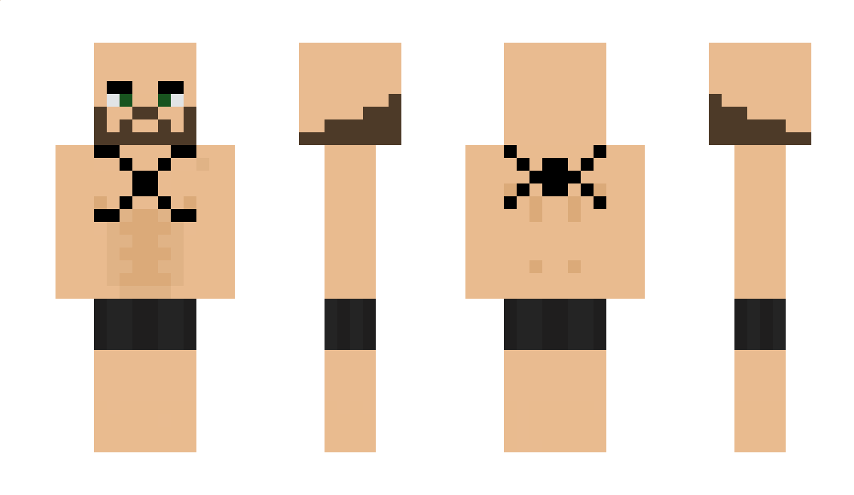 _Shinux_ Minecraft Skin