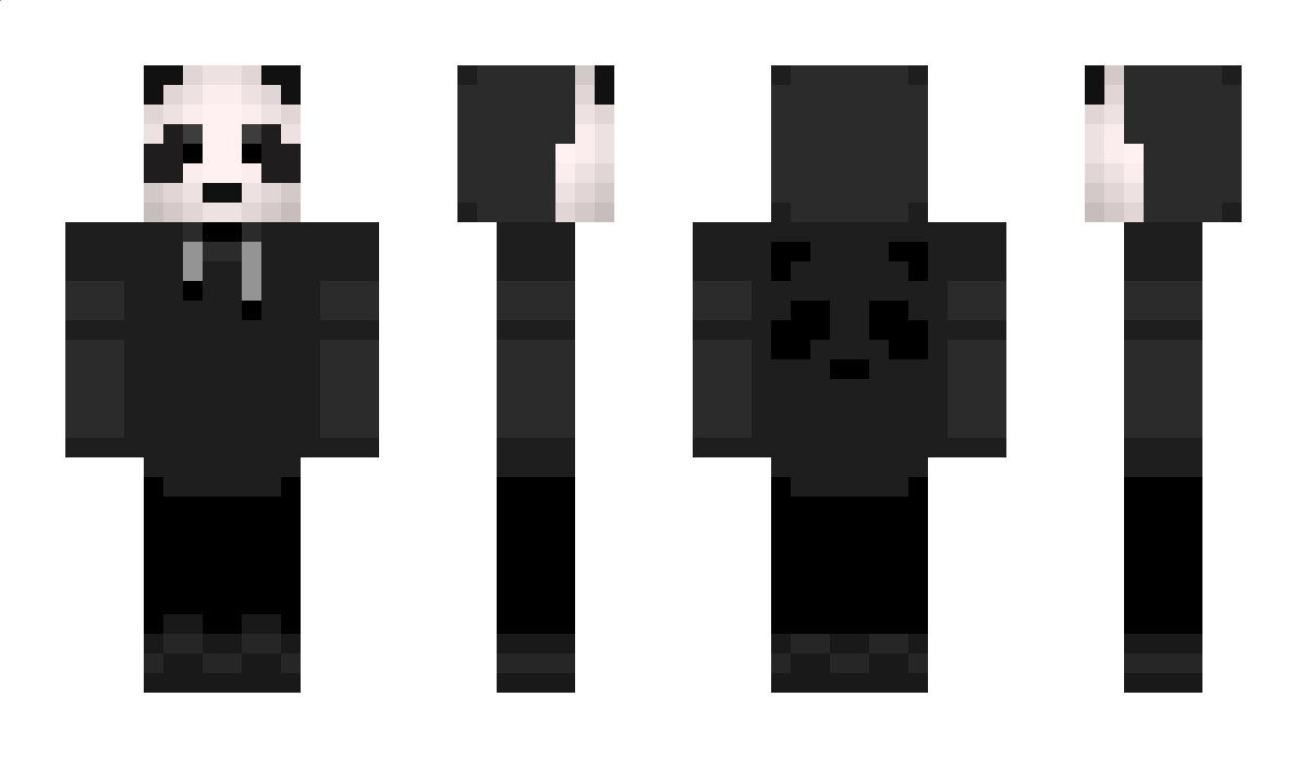 _Air_X_ Minecraft Skin