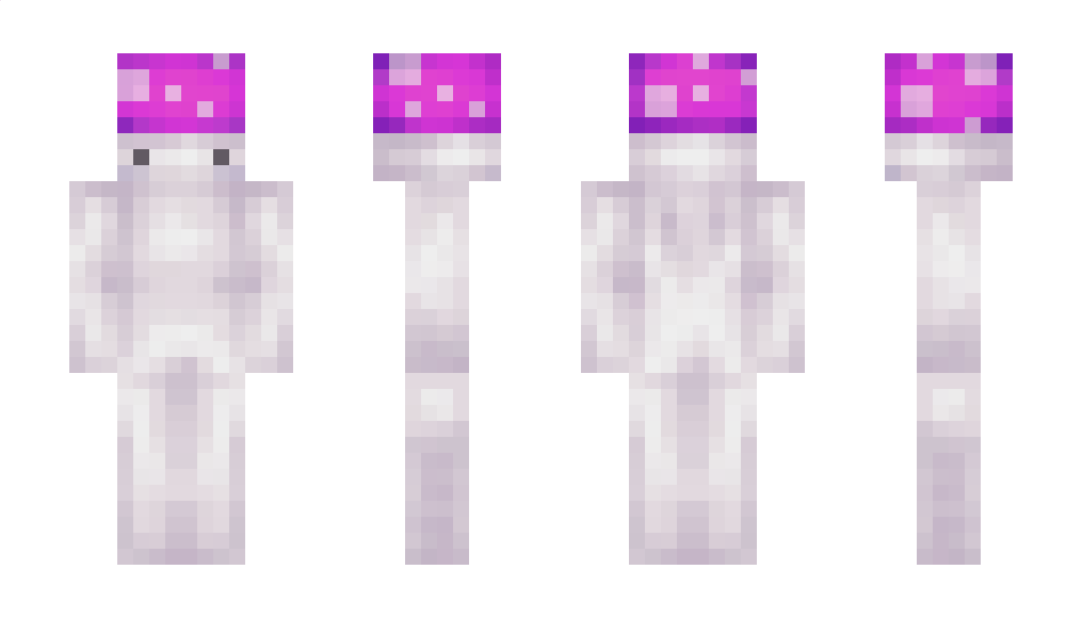 Chxxse_ Minecraft Skin