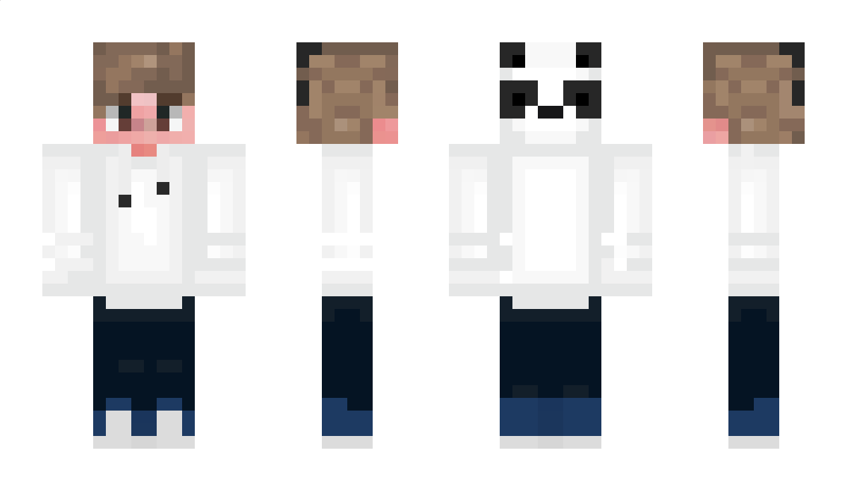 AllofMe Minecraft Skin