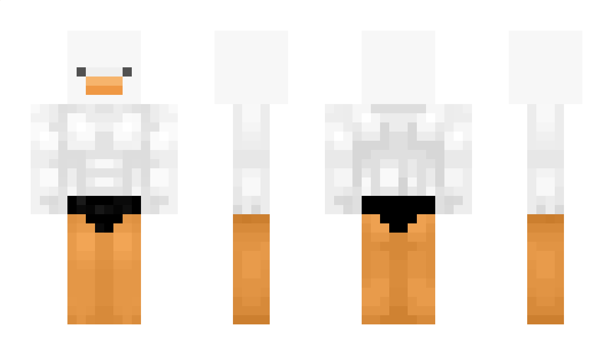 HTFFFCU Minecraft Skin