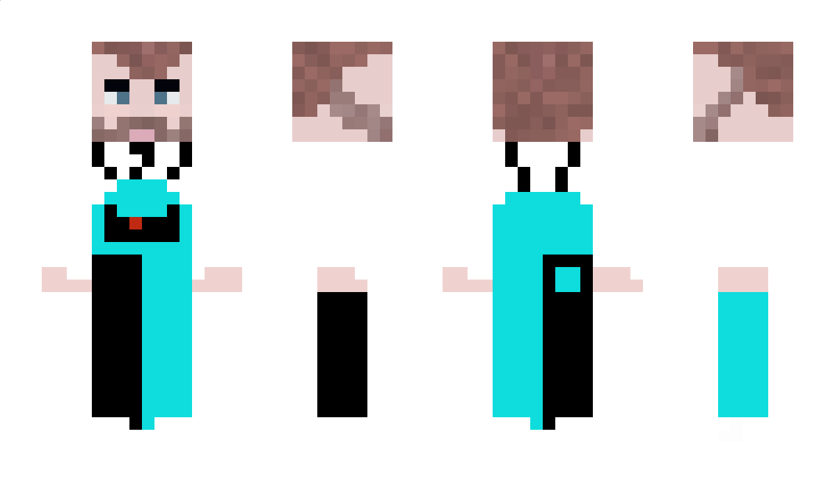 Desight Minecraft Skin