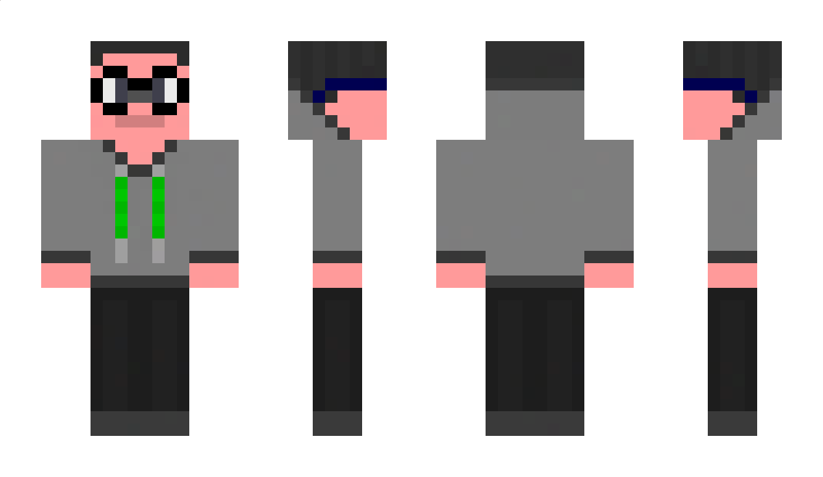 ChaoticZebra_067 Minecraft Skin