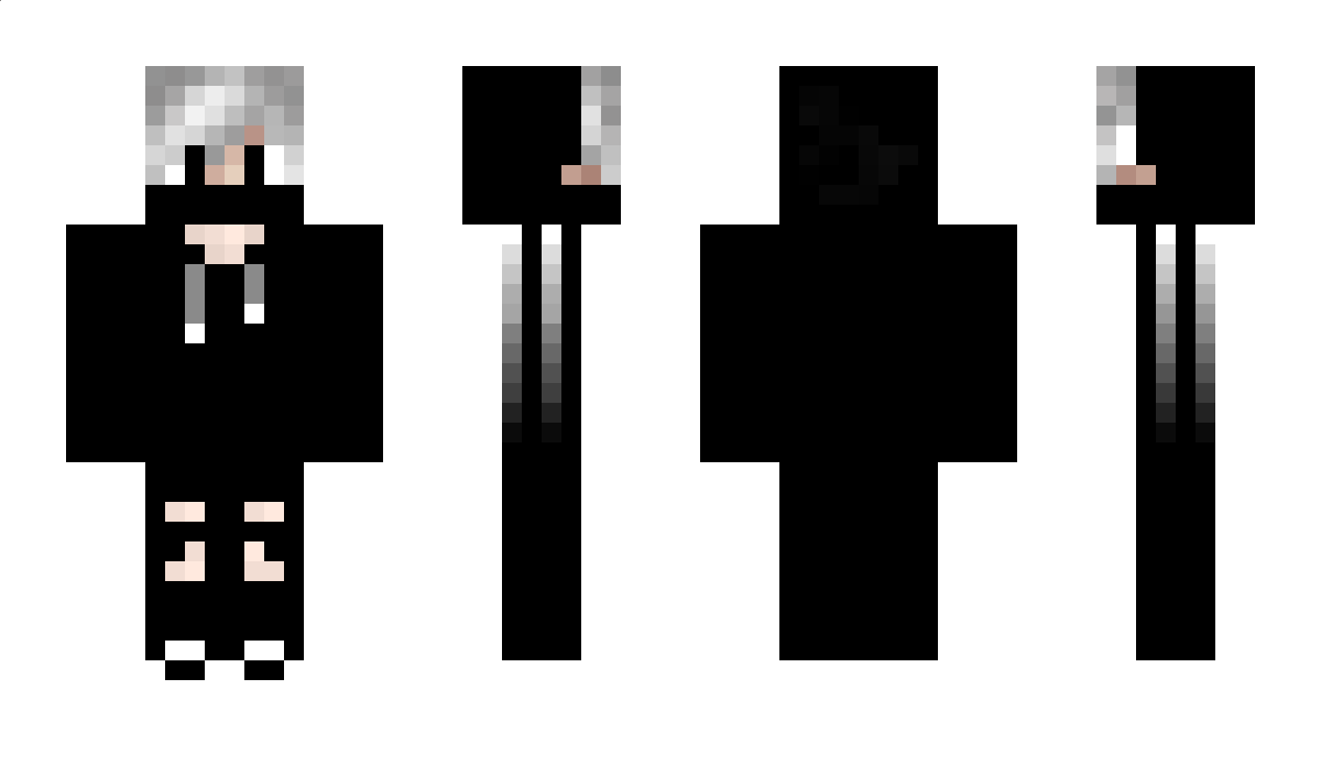 Moden Minecraft Skin