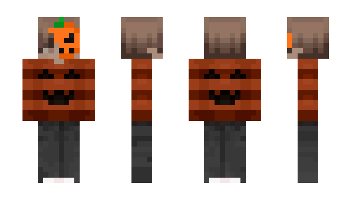 BohaterkaLC Minecraft Skin