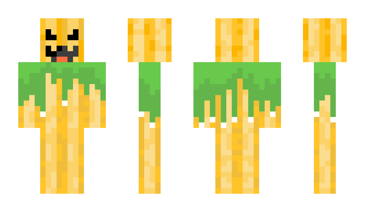 Salsa_Amigo Minecraft Skin