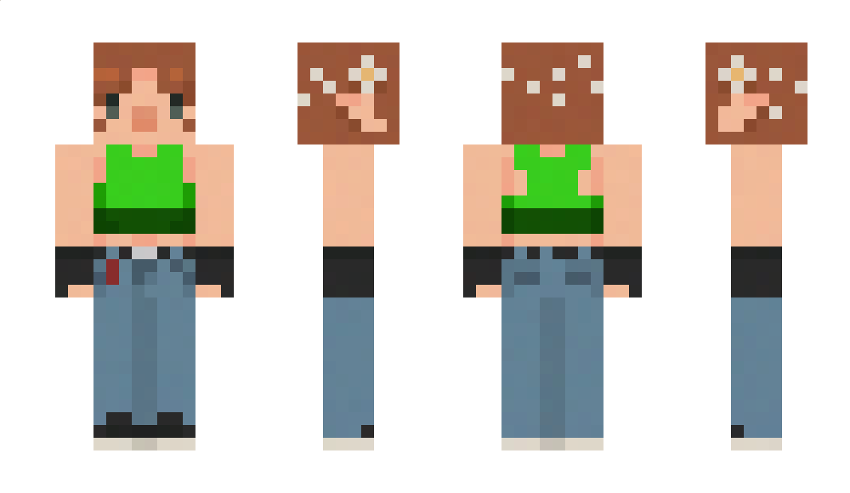 saemimir Minecraft Skin