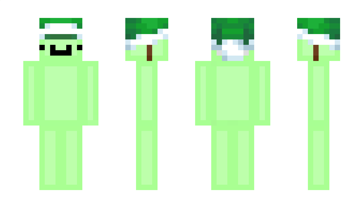 woojjin55 Minecraft Skin