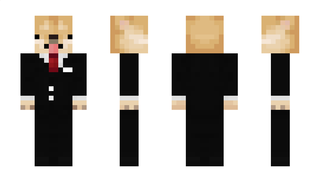 whoasked Minecraft Skin