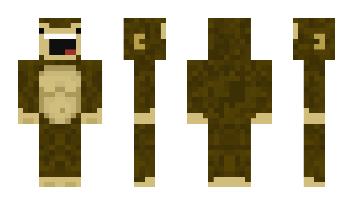 Paik Minecraft Skin