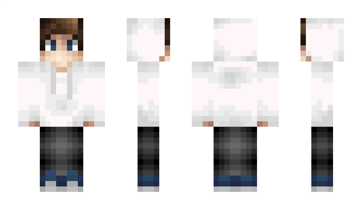 Enter Minecraft Skin