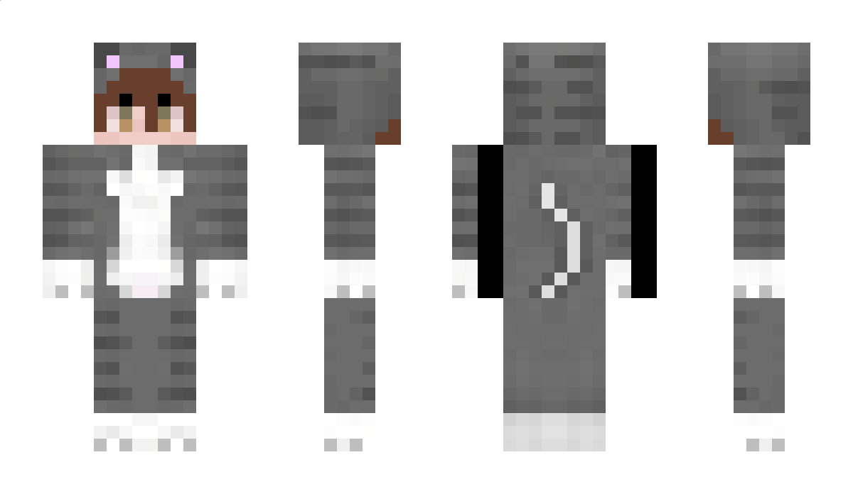 Katze_Rizz Minecraft Skin