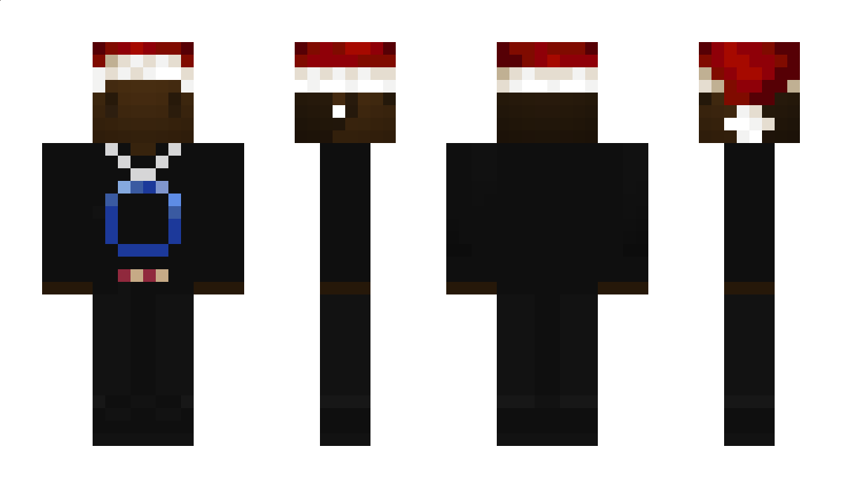 SwiftCraft Minecraft Skin