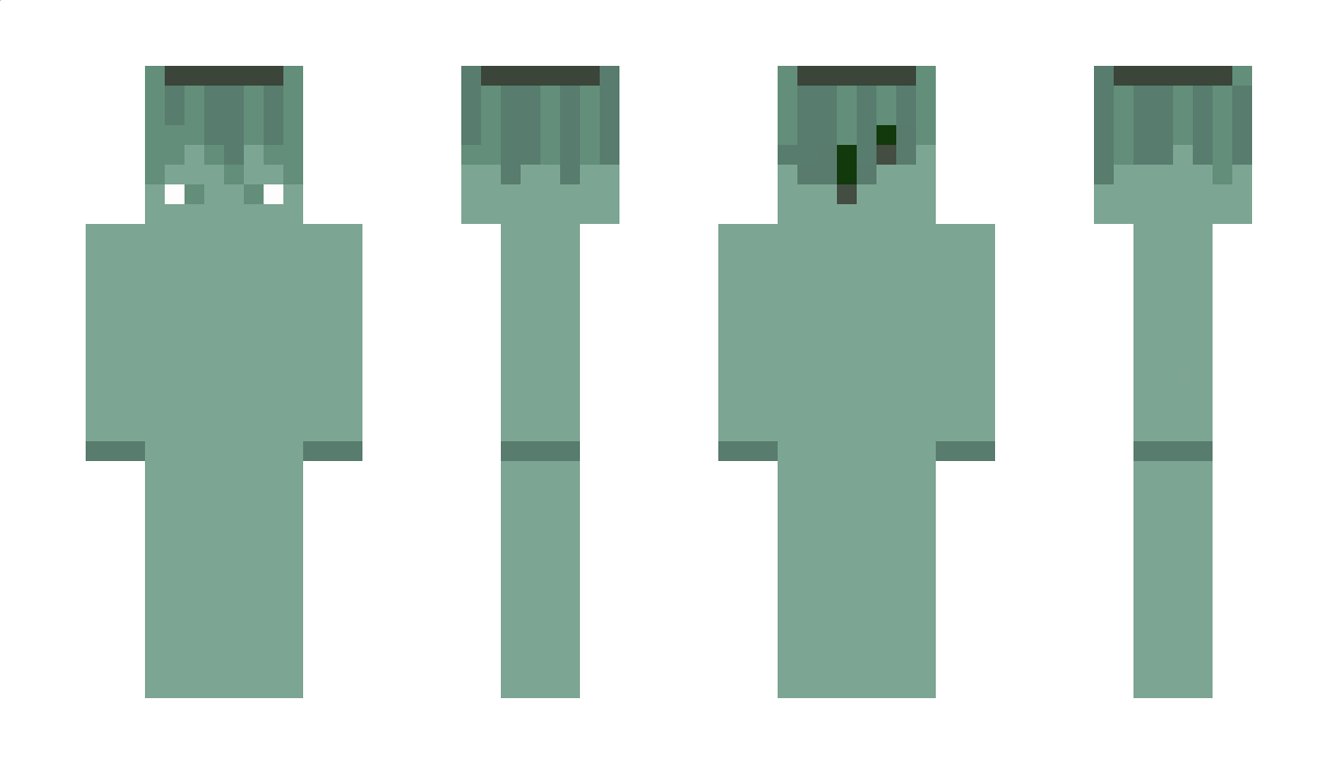 clearrcat Minecraft Skin