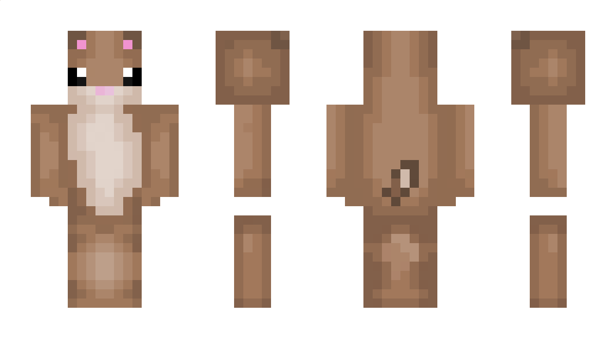 MDW100 Minecraft Skin