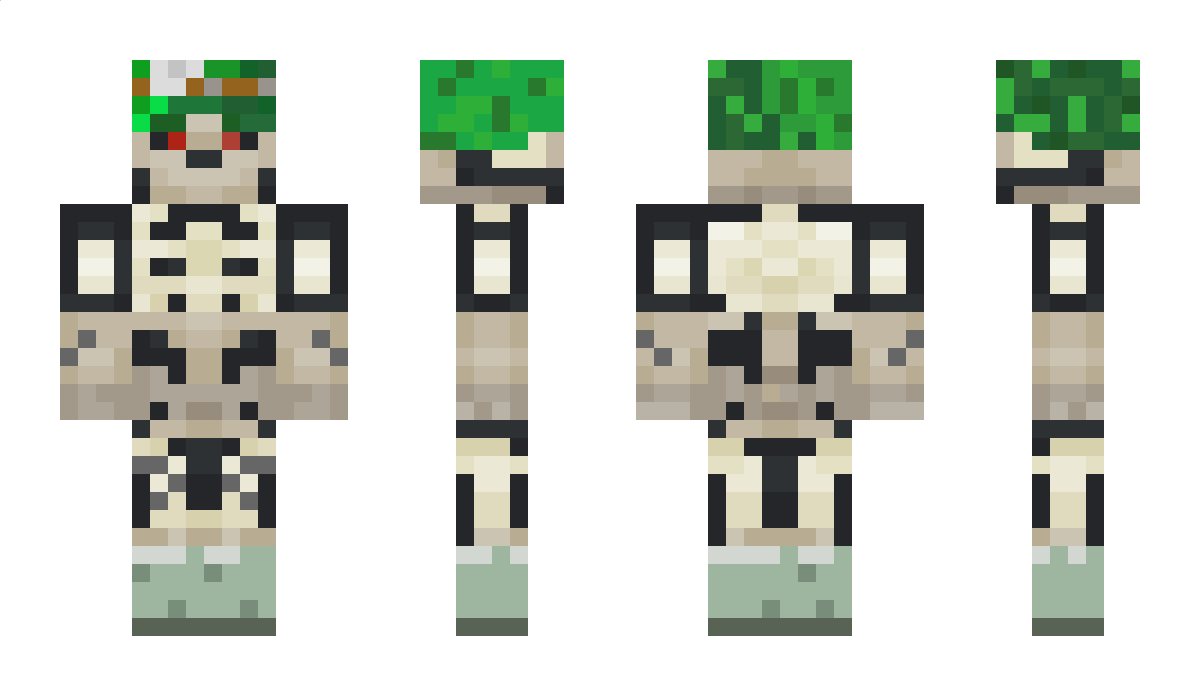 rebel459 Minecraft Skin