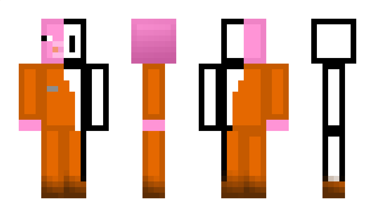 MrGalaxyPigYT Minecraft Skin