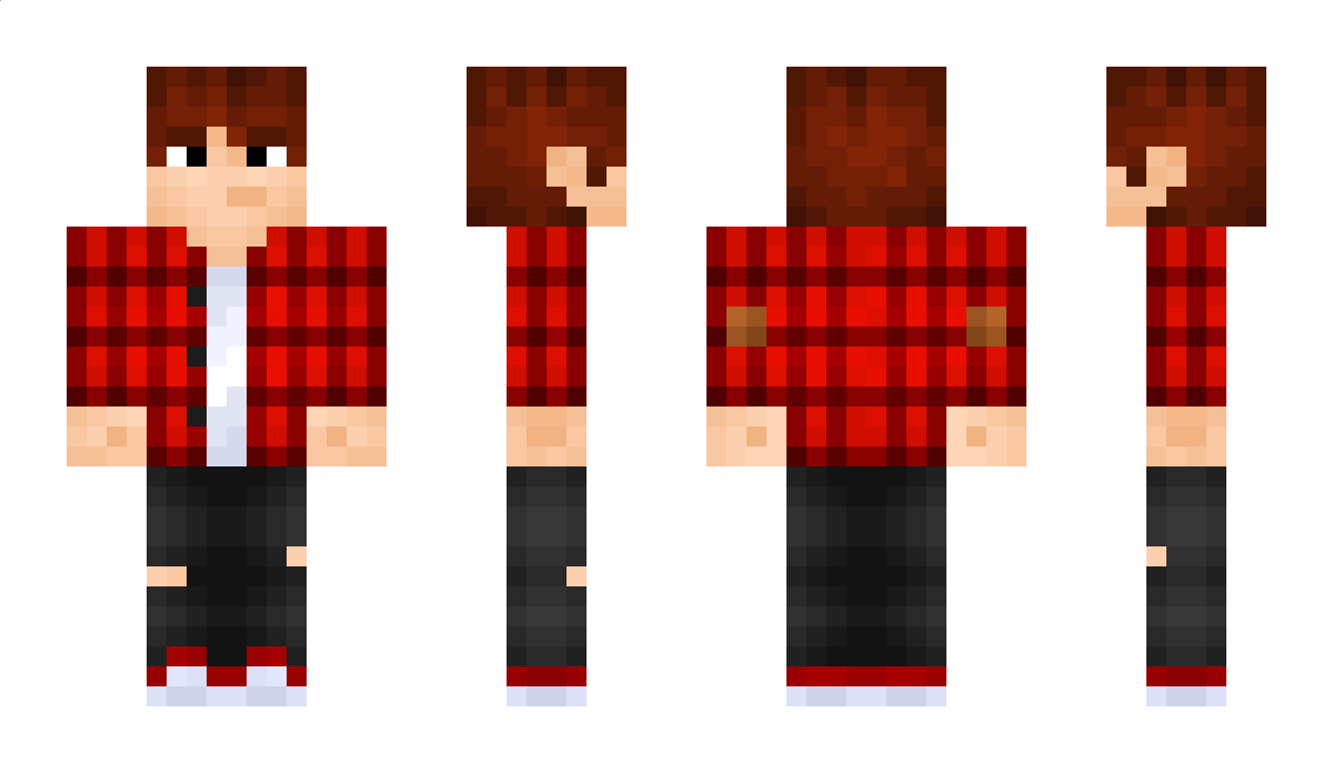 VidLex Minecraft Skin