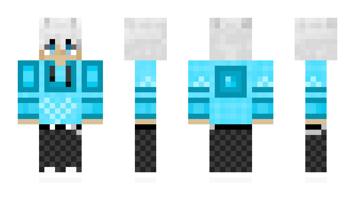 161665 Minecraft Skin