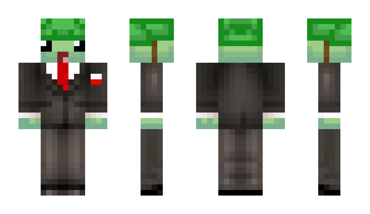 ToNieOli Minecraft Skin