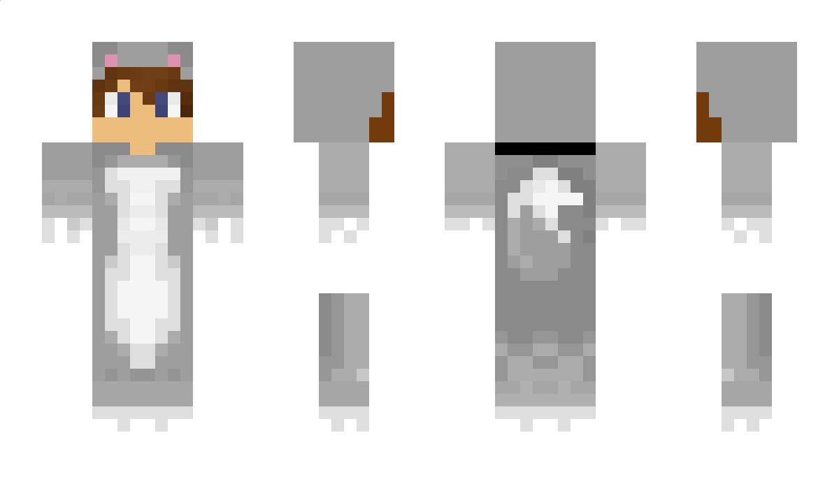 WorldDownloader Minecraft Skin