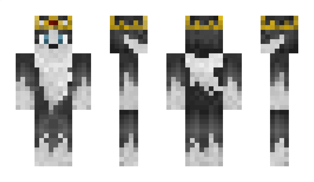 King_Merlin0401 Minecraft Skin