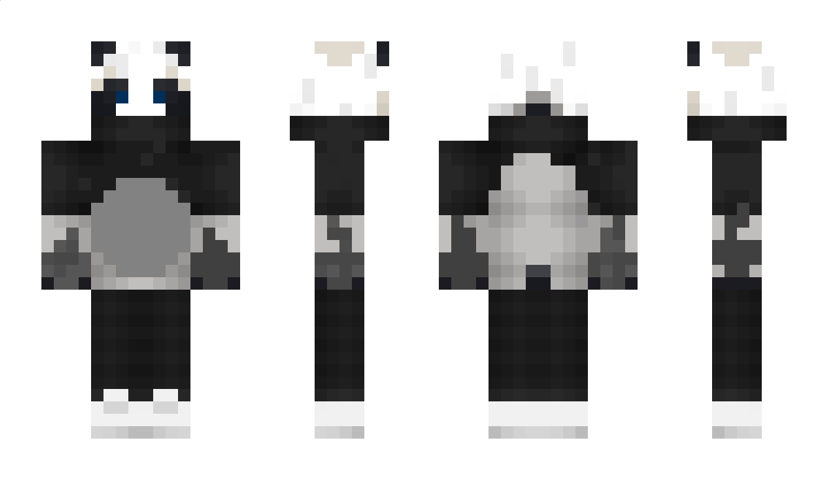 ColdNights Minecraft Skin