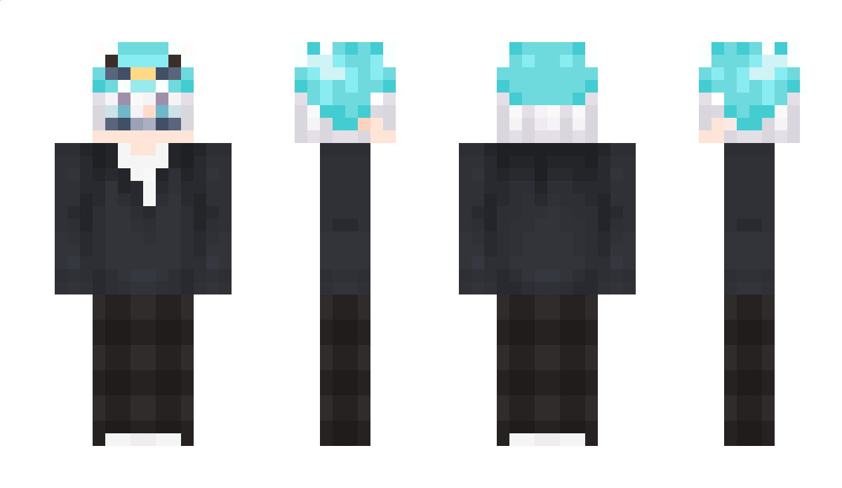 playist Minecraft Skin