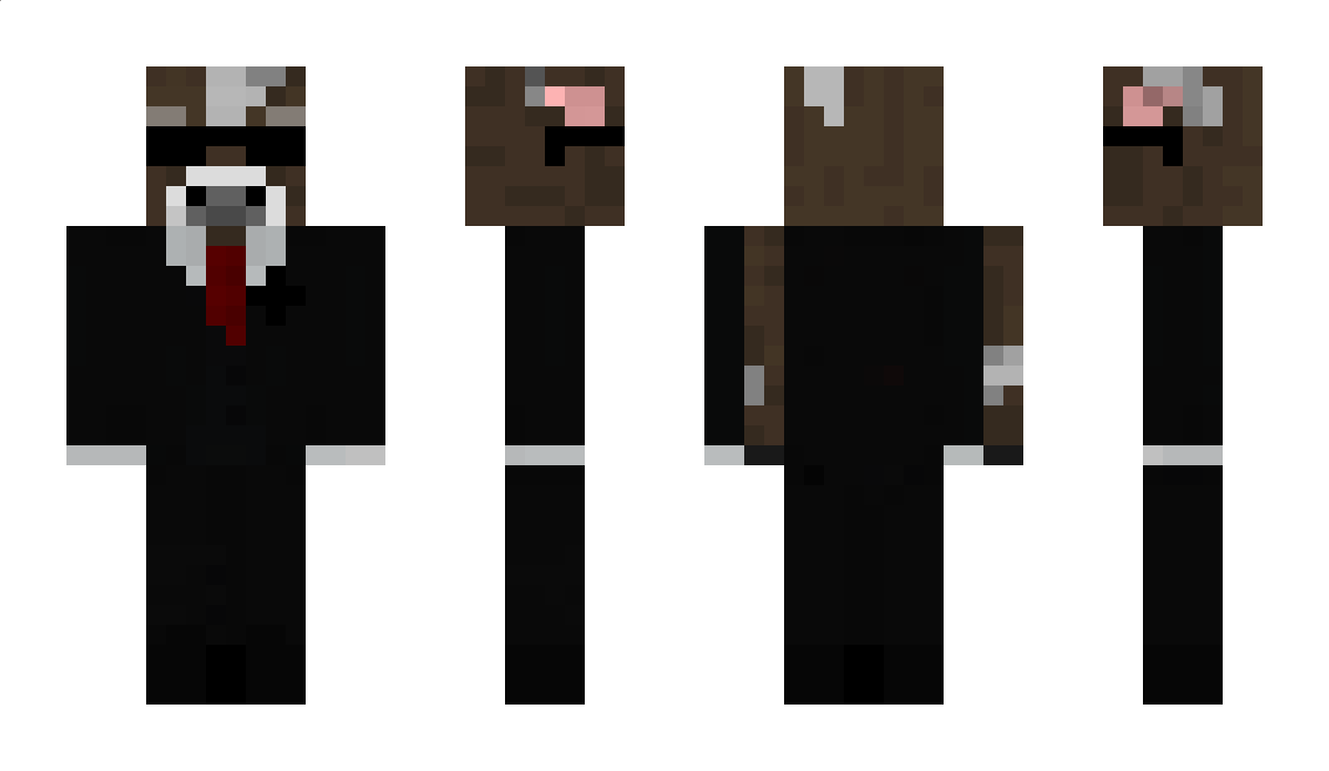 MrMistakeMare Minecraft Skin