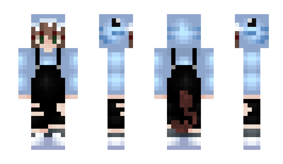 CartooneurFox Minecraft Skin