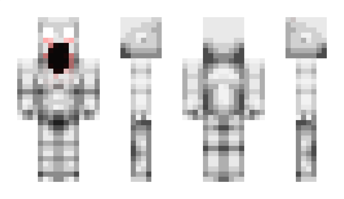 Nr747 Minecraft Skin