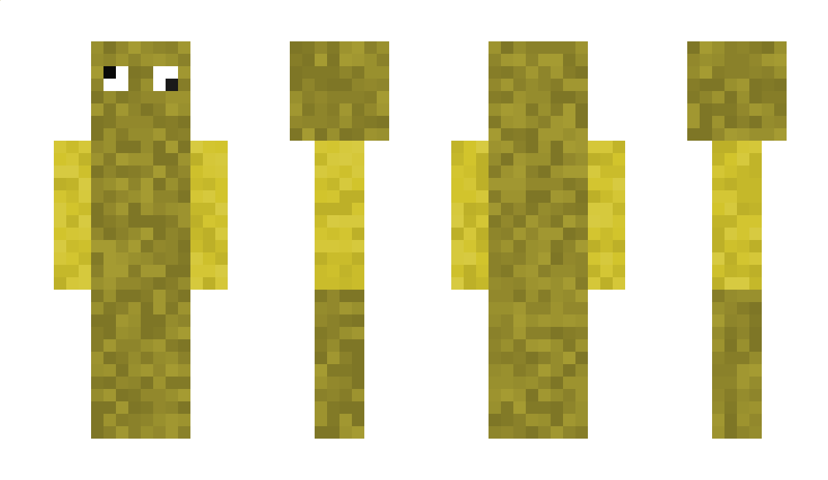 rtray Minecraft Skin