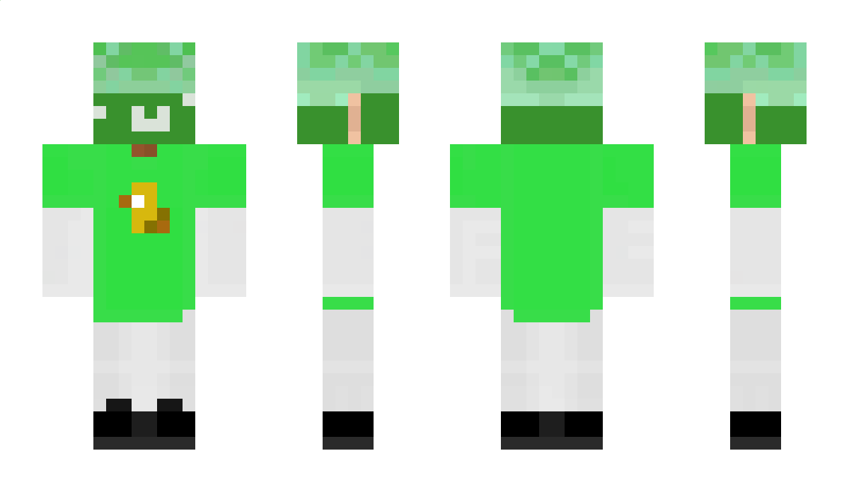 Maciektv1 Minecraft Skin