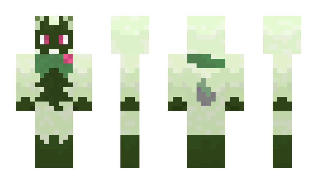 UpwindZebra875 Minecraft Skin