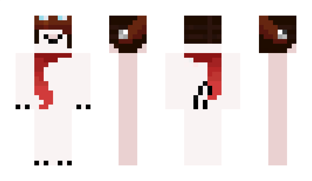 AStupid_Dreamer Minecraft Skin